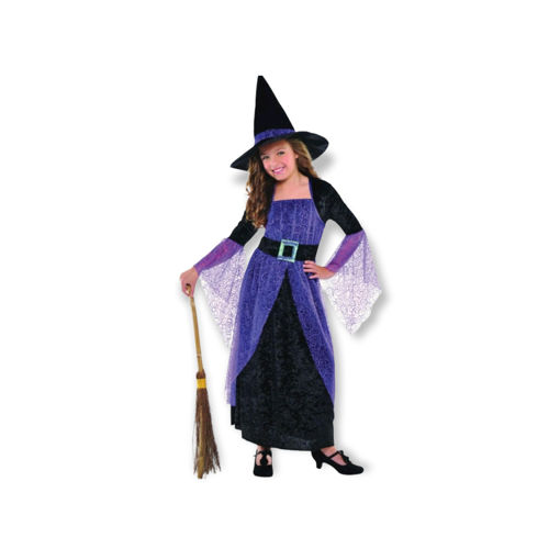 Picture of PRETTY POTION WITCH COSTUME 3-5 YEARS